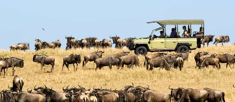 Serengeti-National-Park-Safari